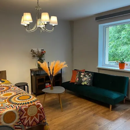 Ginger Cat Apartment Liepaja